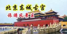 日美黄色网站在线中国北京-东城古宫旅游风景区